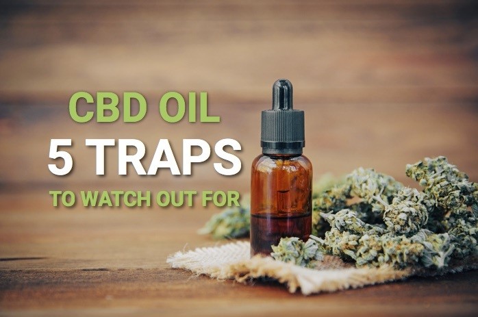 CBD Oil 
      Dog Biscuits Del Tura Plaza North Fort Myers 
      FL